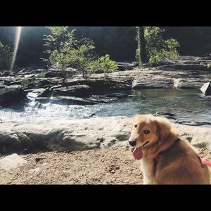 Meet your Posher, Sara